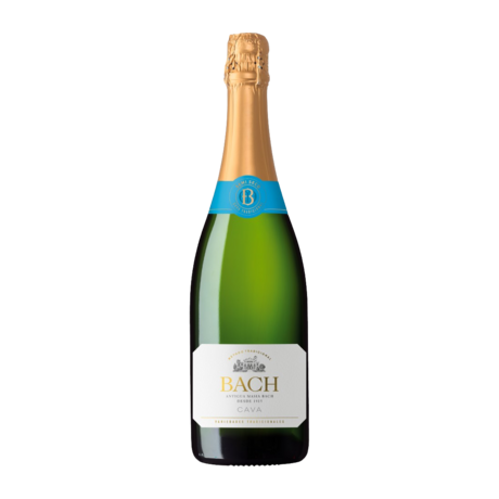 Vahuvein Bach Semi-Seco Cava 11,5% 0,75l